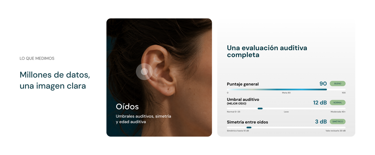 Oídos