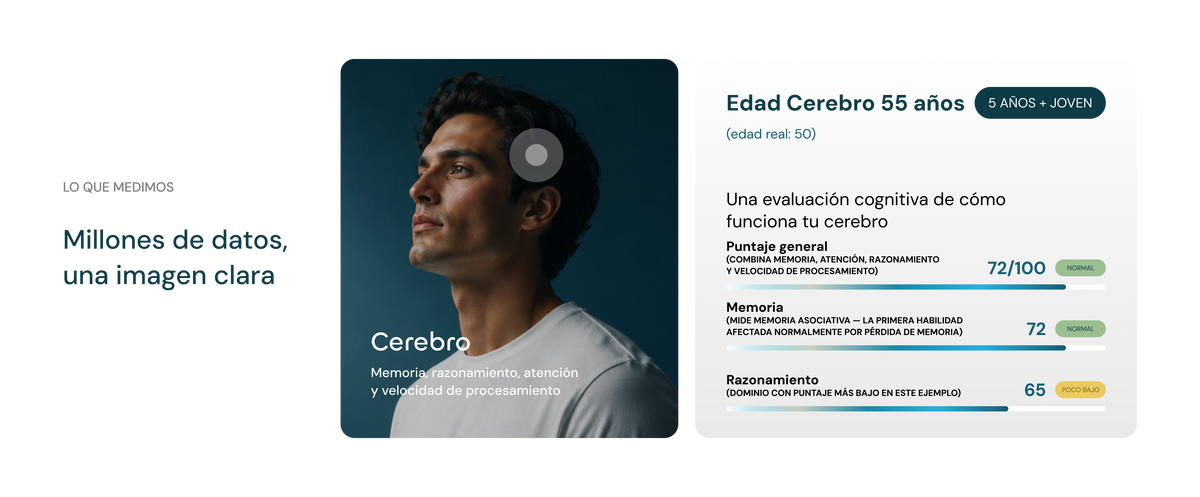 Cerebro