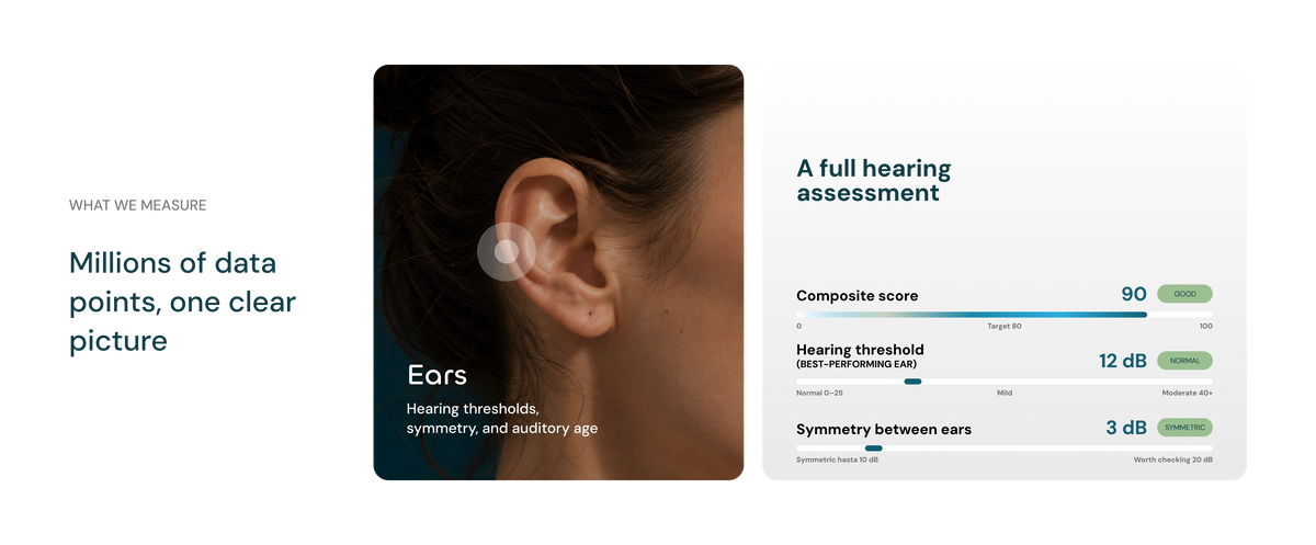 Ears