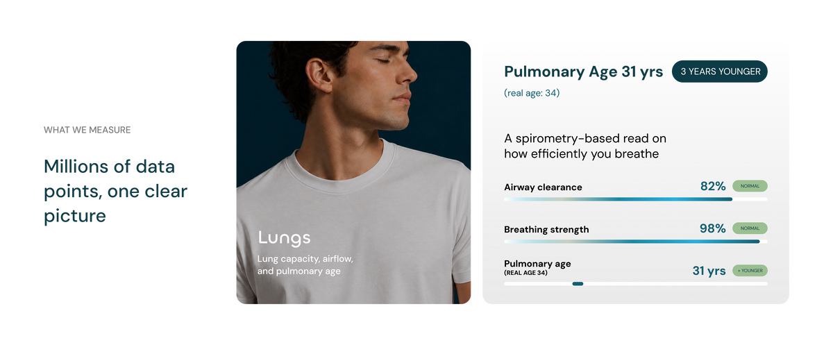 Lungs