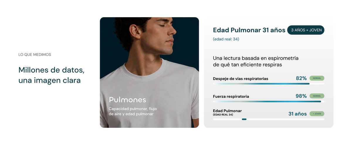 Pulmones
